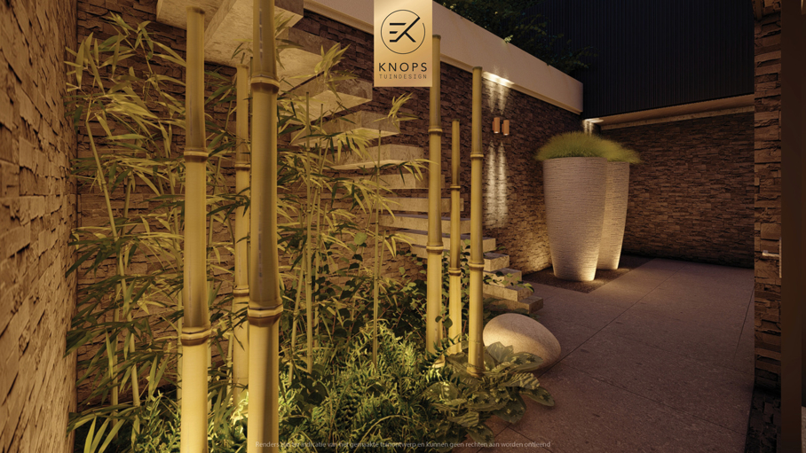 Modern tuinontwerp, japanse tuin, japanse esdoorn, nieuwbouwvilla, villatuin met zwembad, poolhouse, buitenhaard