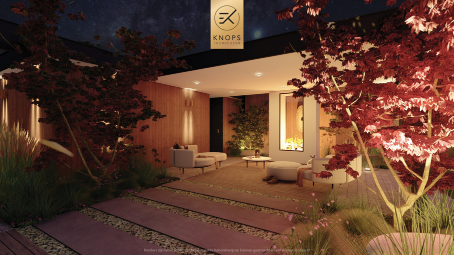 Modern tuinontwerp, japanse tuin, japanse esdoorn, nieuwbouwvilla, villatuin met zwembad, poolhouse, buitenhaard