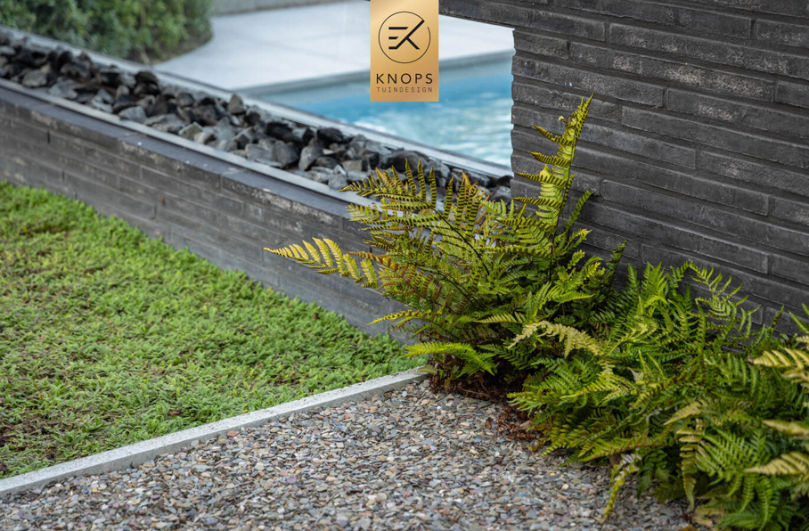 moderne tuin villatuin nieuwbouw villa luxe entree exclusief tuinontwerp modern zwembad poolhouse met sauna buitendouche exclusive garden design luxury garden modern garden