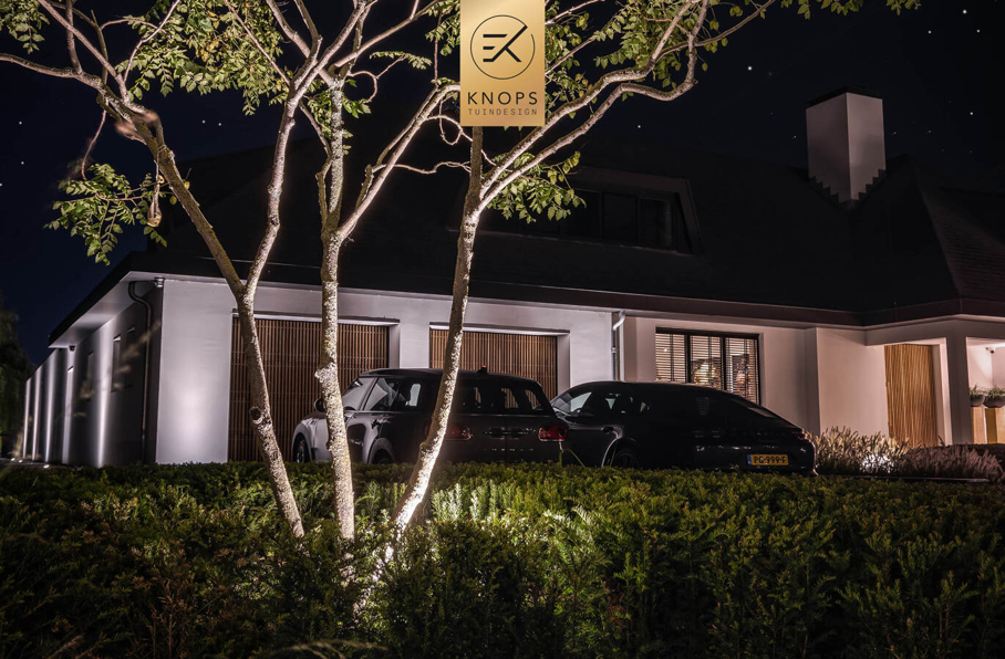  sfeertuinen zwembad meerstammige bomen tuin verlichting avond witte polyester bakken knops tuindesign tuinarchitect overkapping wellness luxe buitenhaard vlonder