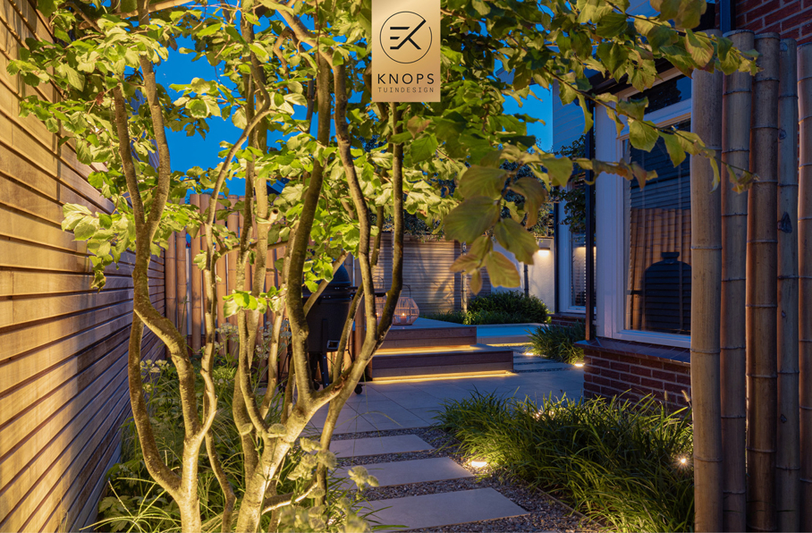 kleine stadstuin met zwembad, plungepool, moderne tuin, strakke tuin, overkapping met haard, gevelbekleding, moderne schutting, houten terras, in lite
