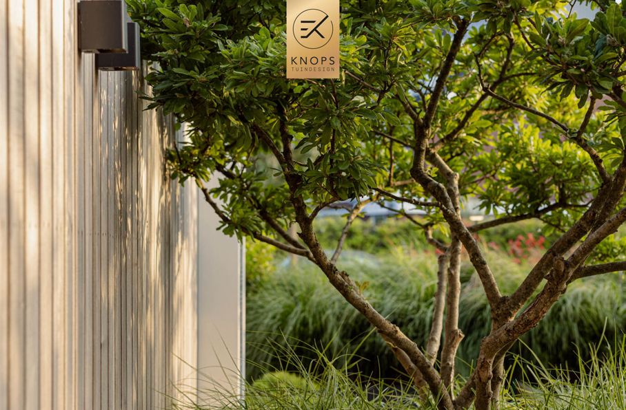 modern tuinontwerp stadstuin aan het water luxe tuin met zwembad mediterrane tuin luxury garden design exclusive garden villa garden