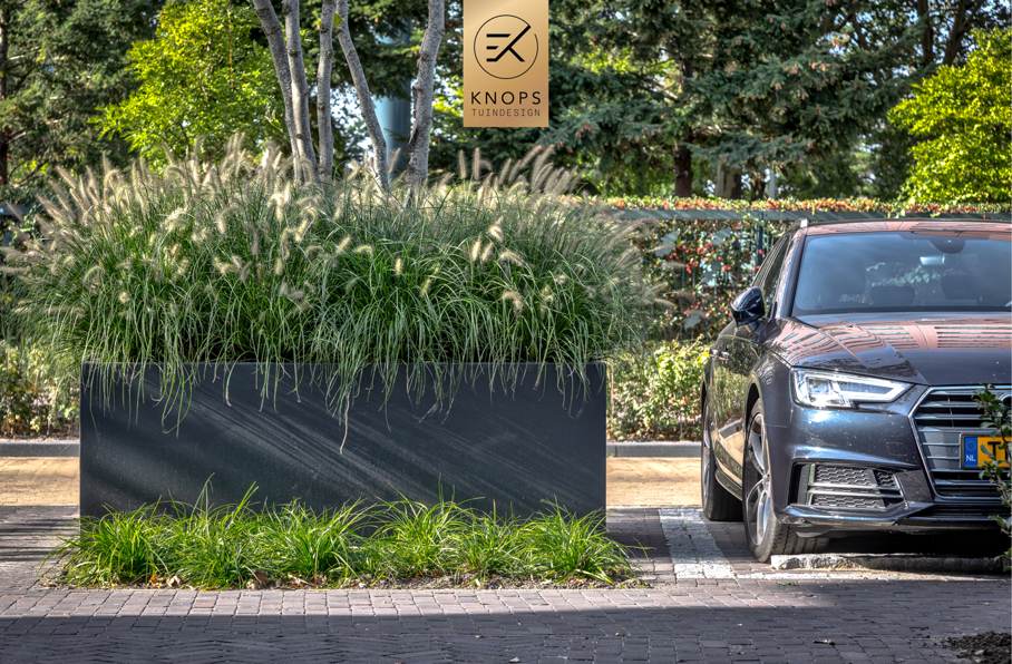tuinontwerp laten maken bedrijfstuin inrichting kantoortuin parkeren problemen oplossen tuinarchitect erik knops interpolis meerstammige bomen sierbakken