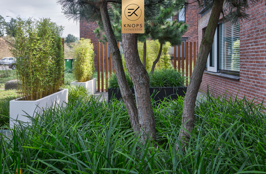  Tuinontwerp klein stadstuin exclusief maatwerk gaaf knops tuindesign tuinarchitect nederland vlonder meerstammige bomen nederland high end tuinontwerp