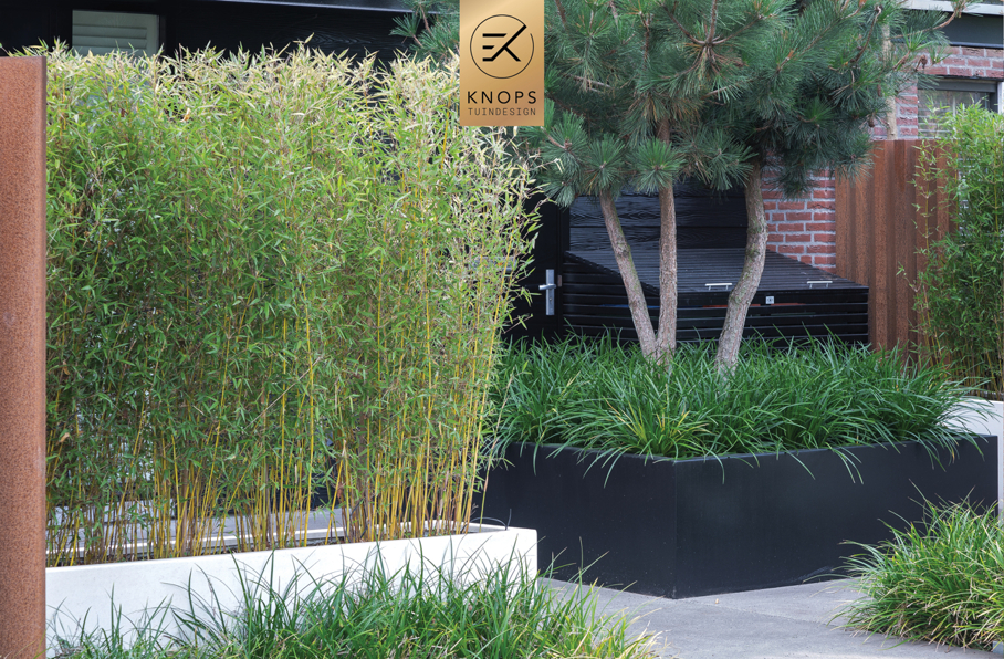  Tuinontwerp klein stadstuin exclusief maatwerk gaaf knops tuindesign tuinarchitect nederland vlonder meerstammige bomen nederland high end tuinontwerp