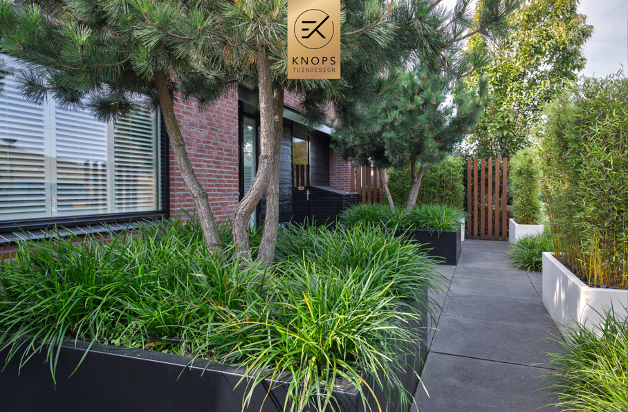 Tuinontwerp klein stadstuin exclusief maatwerk gaaf knops tuindesign tuinarchitect nederland vlonder meerstammige bomen nederland high end tuinontwerp