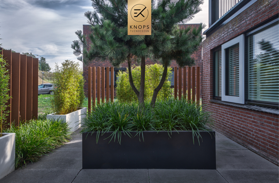  Tuinontwerp klein stadstuin exclusief maatwerk gaaf knops tuindesign tuinarchitect nederland vlonder meerstammige bomen nederland high end tuinontwerp