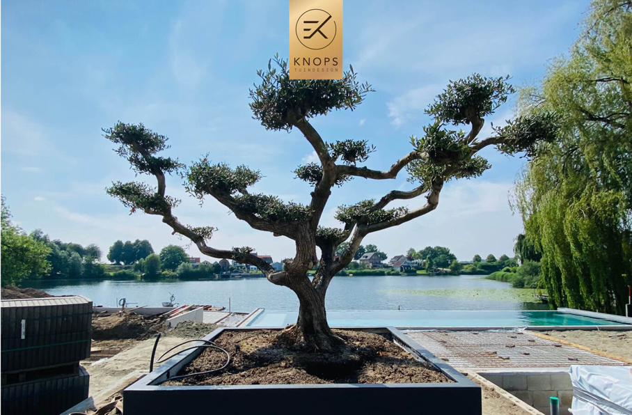 Overloopzwembad infinity pool bonsai zwembad kade water boodje luxe villatuin high end millboard jacuzzi erik knops tuinarchitect tuinontwerp high end hoogtes 