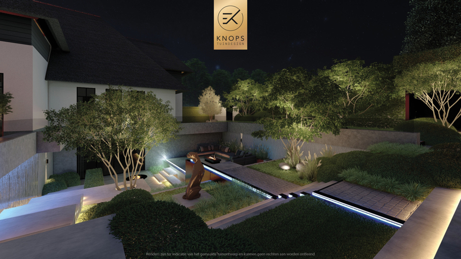 Moderne rustige tuin, tuin met kuil, keldertuin, kalm tuinontwerp, clean garden design, minimalistische tuin, luxe overkapping, poolhouse, strak tuinontwerp, exclusieve tuin