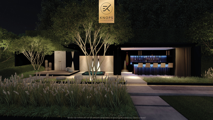 Moderne rustige tuin, tuin met kuil, keldertuin, kalm tuinontwerp, clean garden design, minimalistische tuin, luxe overkapping, poolhouse, strak tuinontwerp, exclusieve tuin
